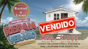 CASETA MADERA MODELO RISCO 28mm 300X200